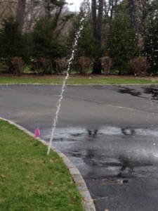 broken sprinkler head