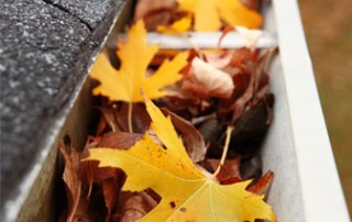Gutter Cleaning