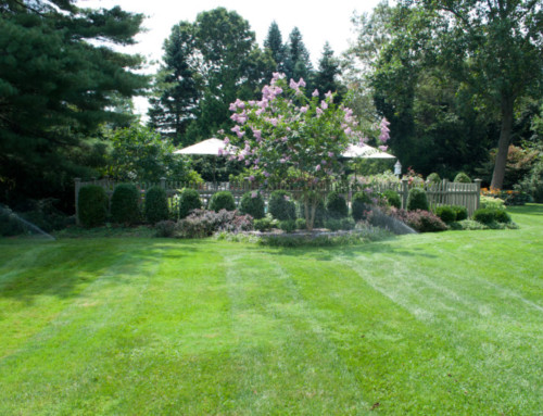 How Well Do My Sprinklers Cover My Landscape?